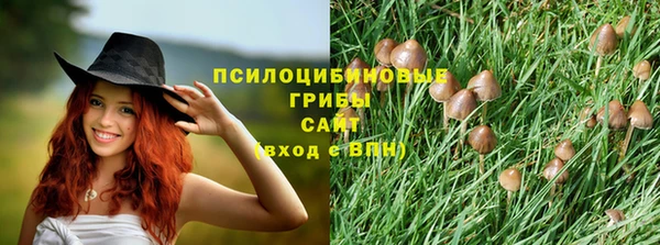 стафф Аркадак