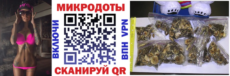 купить наркотик  Ипатово  Псилоцибиновые грибы Psilocybine cubensis 